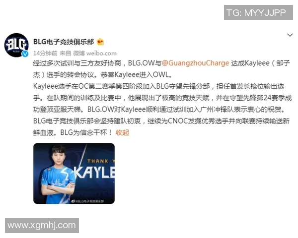 esports最新数据高校联赛中BLG团队意识的表现分析与战术探讨